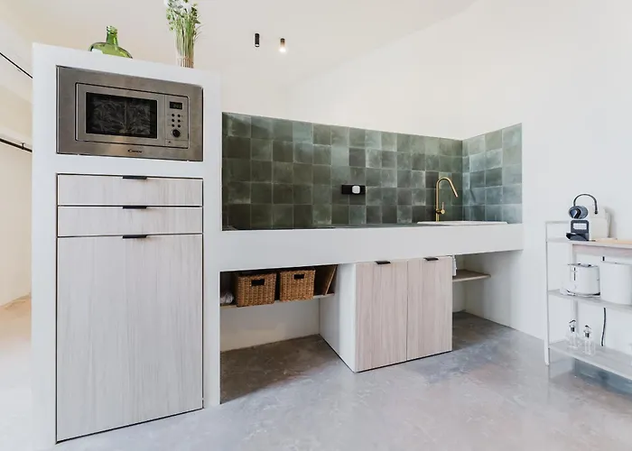 Lejlighed Loft Vinas *